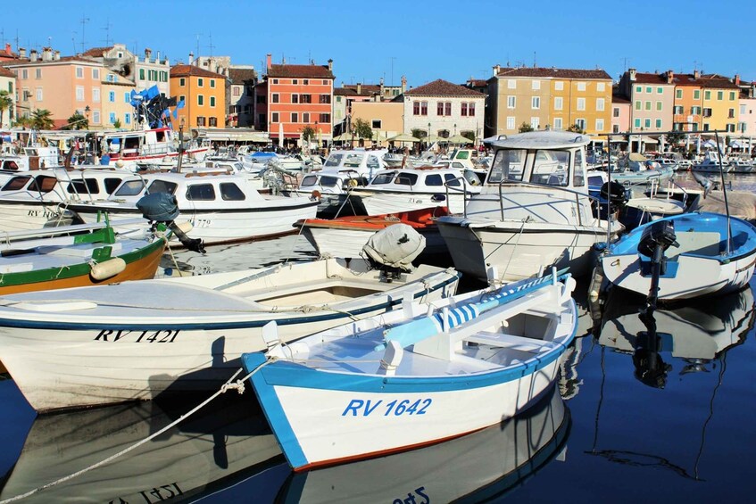 Picture 5 for Activity Rovinj e-bike round tour