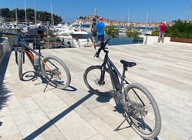 Rundtur på elcykel i Rovinj