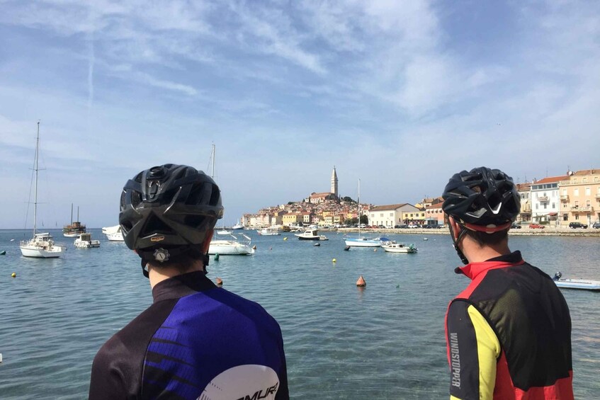 Picture 6 for Activity Rovinj e-bike round tour