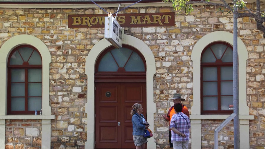 Darwin: Small Group 2-Hour Heritage Walk