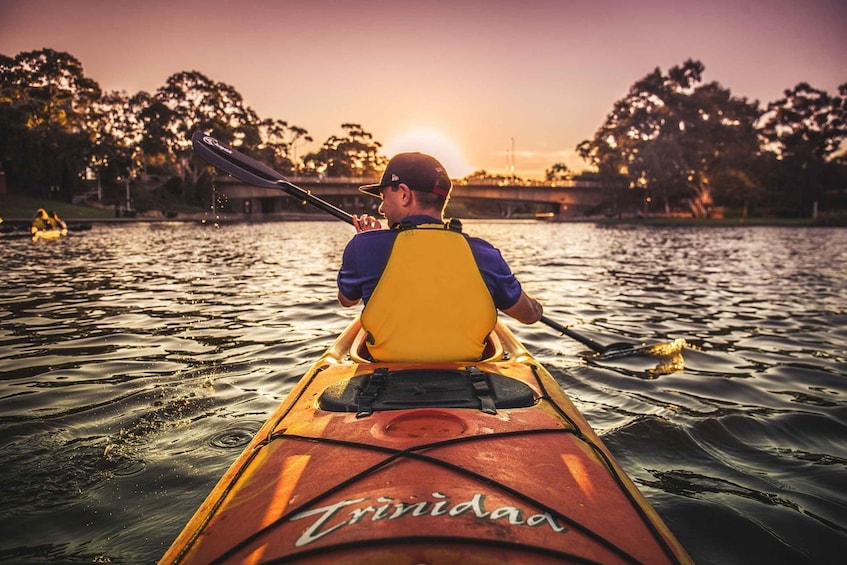 Picture 3 for Activity Adelaide: City Kayaking Experience