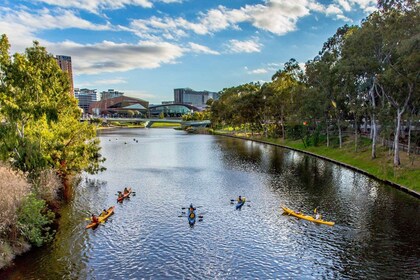 Adelaide: experiencia de kayak en la ciudad