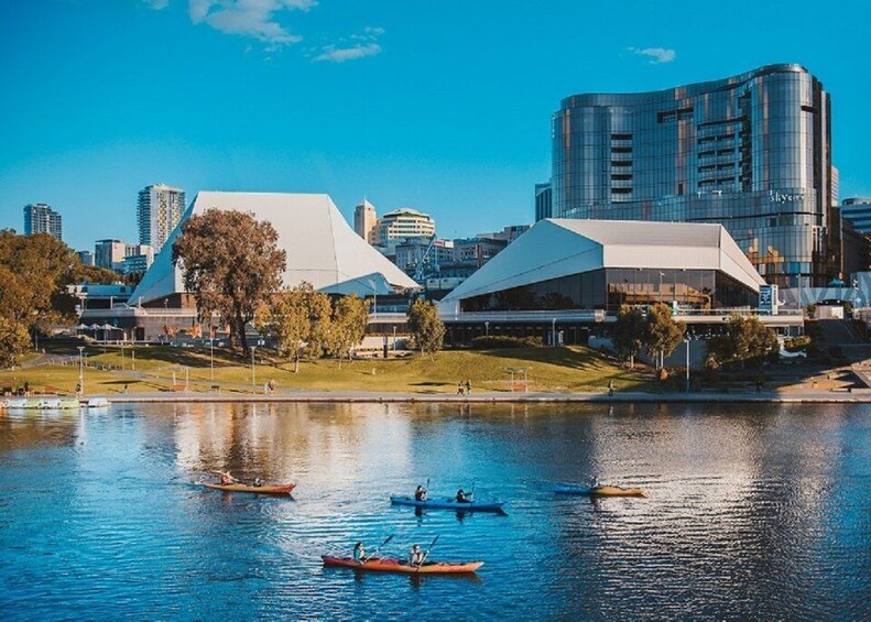 Picture 2 for Activity Adelaide: City Kayaking Experience