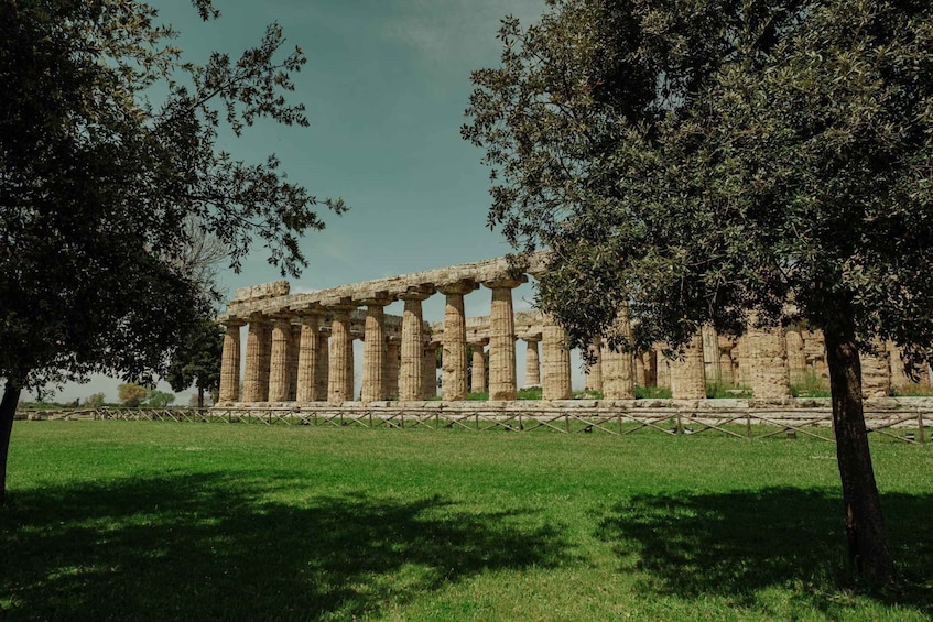 Picture 5 for Activity Paestum: 2-Hour Greek Temples & Archaeological Museum