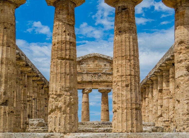 Picture 4 for Activity Paestum: 2-Hour Greek Temples & Archaeological Museum