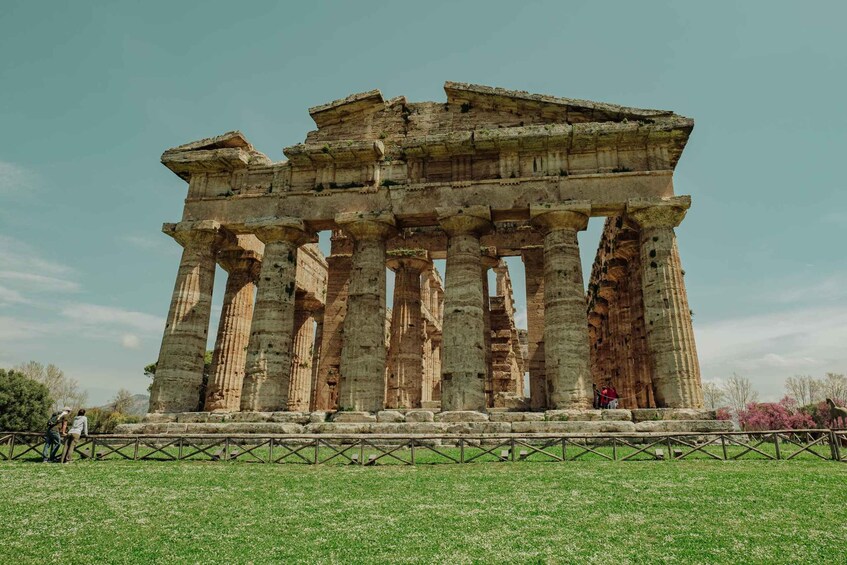 Picture 4 for Activity Paestum: 2-Hour Greek Temples & Archaeological Museum