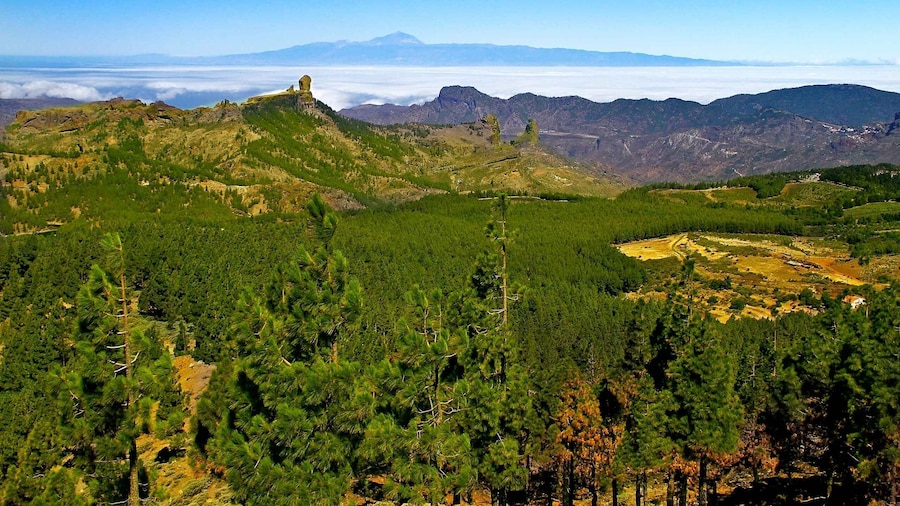 Gran Canaria Highlights Full-Day Tour by Bus