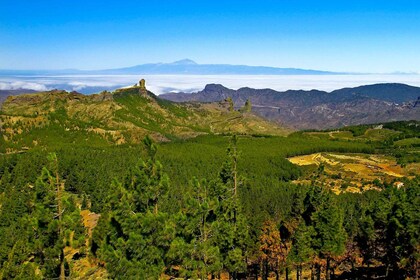 Excursion d'une journée à Gran Canaria en autocar