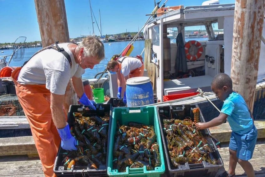 Boston: Kennebunkport Day Trip with Optional Lobster Tour