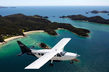 Fly to Cape Reinga: Scenic Flights & 2.5-Hour Guided Tour