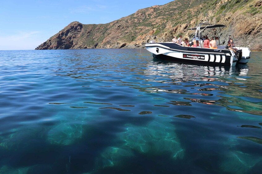 Picture 6 for Activity From Calvi: 2-Hour Sunset Cruise to Revellata Peninsula