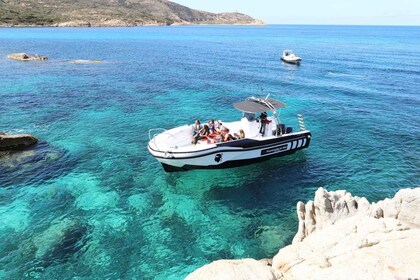 Au départ de Calvi : Croisière de 2 heures au coucher du soleil sur la péni...