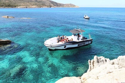 Desde Calvi: Crucero de 2 horas al atardecer a la Península Revellata