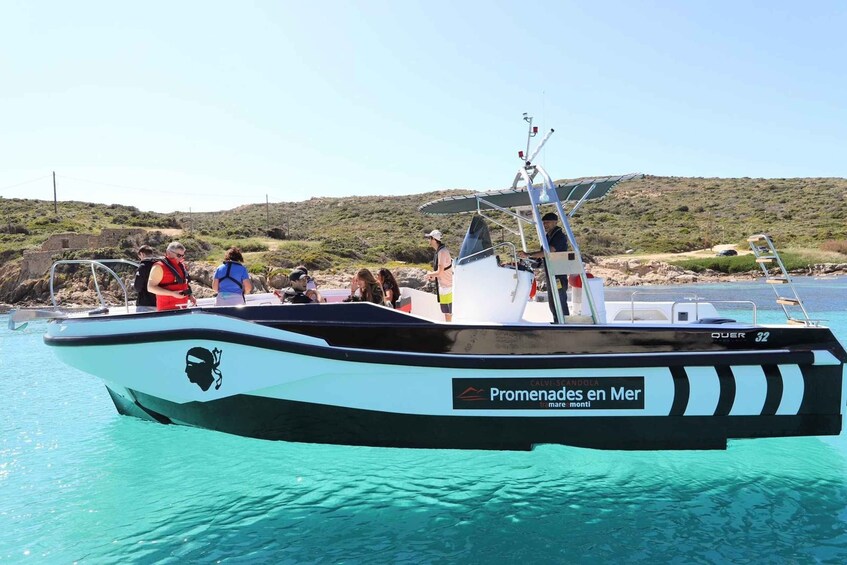 Picture 1 for Activity From Calvi: 2-Hour Sunset Cruise to Revellata Peninsula