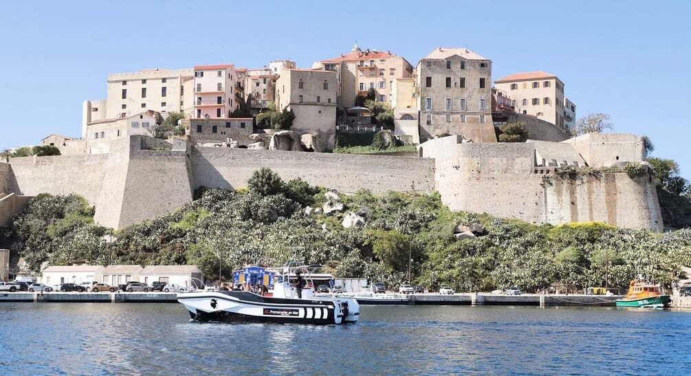 Picture 4 for Activity From Calvi: 2-Hour Sunset Cruise to Revellata Peninsula