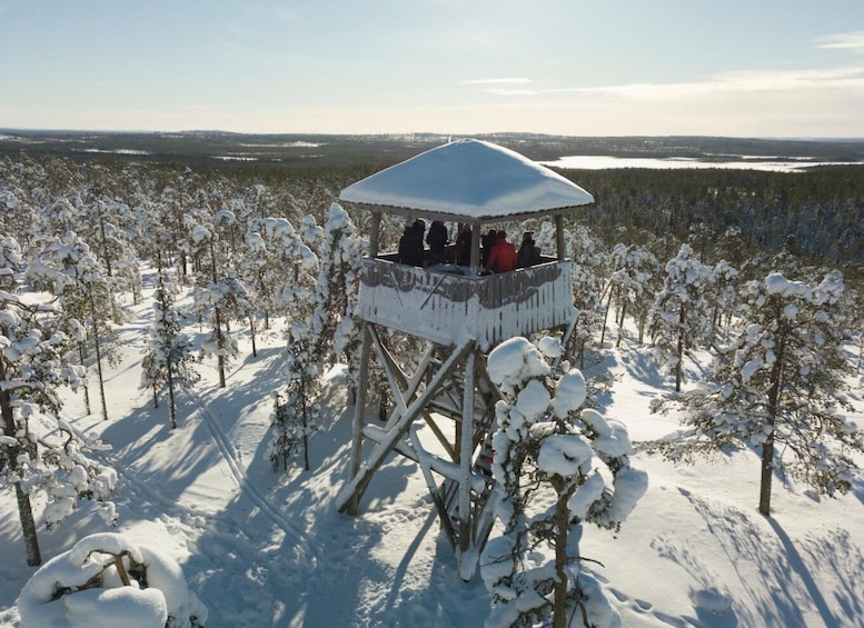 Picture 4 for Activity Rovaniemi: Wilderness Tour