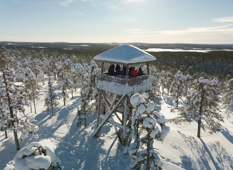 Picture 5 for Activity Rovaniemi: Wilderness Tour