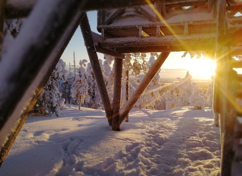 Picture 6 for Activity Rovaniemi: Wilderness Tour