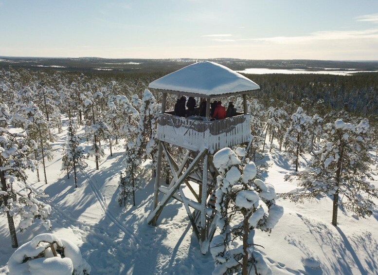 Picture 5 for Activity Rovaniemi: Wilderness Tour