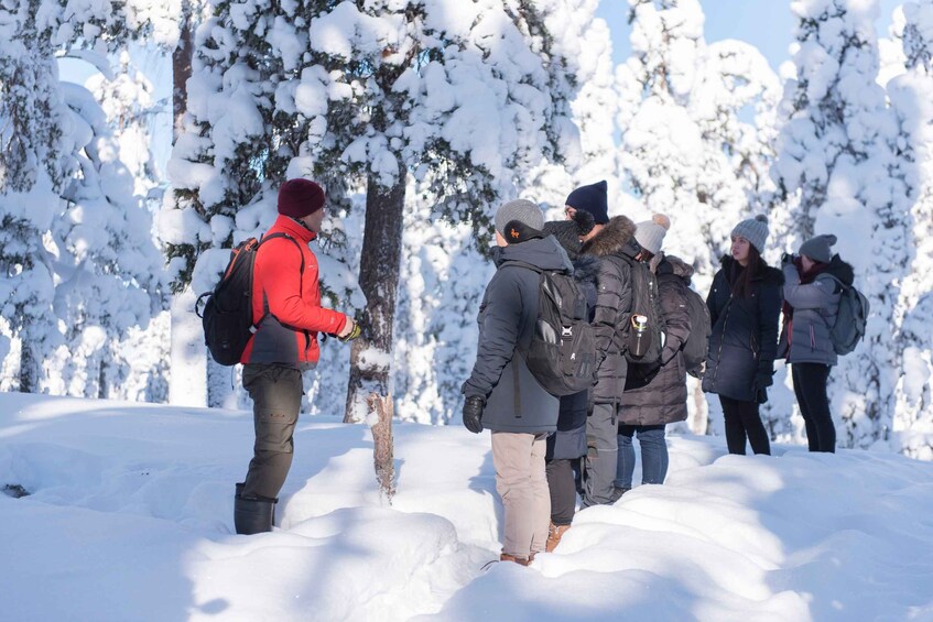 Picture 2 for Activity Rovaniemi: Wilderness Tour