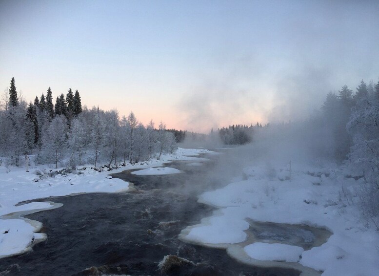 Picture 8 for Activity Rovaniemi: Wilderness Tour