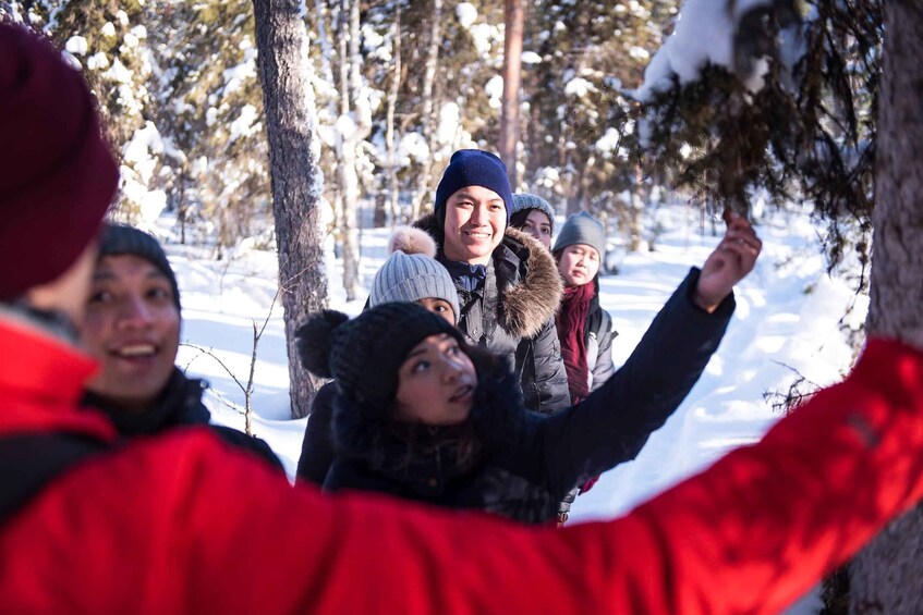 Picture 3 for Activity Rovaniemi: Wilderness Tour