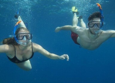 Catania, Isole Ciclopi: Snorkeling Trip