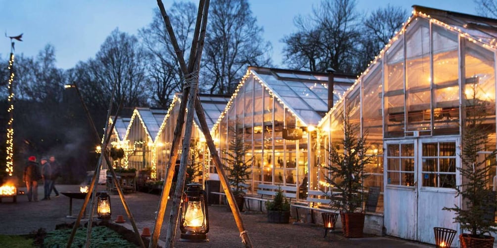 Picture 3 for Activity Stockholm: 2-Hour Djurgården Sightseeing Tour