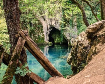 Desde Belgrado: Excursión por las Joyas del Este de Serbia