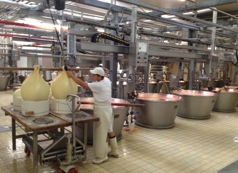 Picture 1 for Activity Parma: Parmigiano-Reggiano Cheese Tour