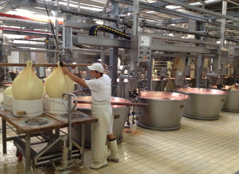 Picture 1 for Activity Parma: Parmigiano-Reggiano Cheese Tour