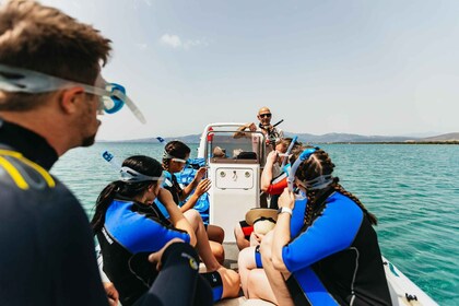 Nea Makri：马拉松角和希尼亚斯湾的浮潜之旅