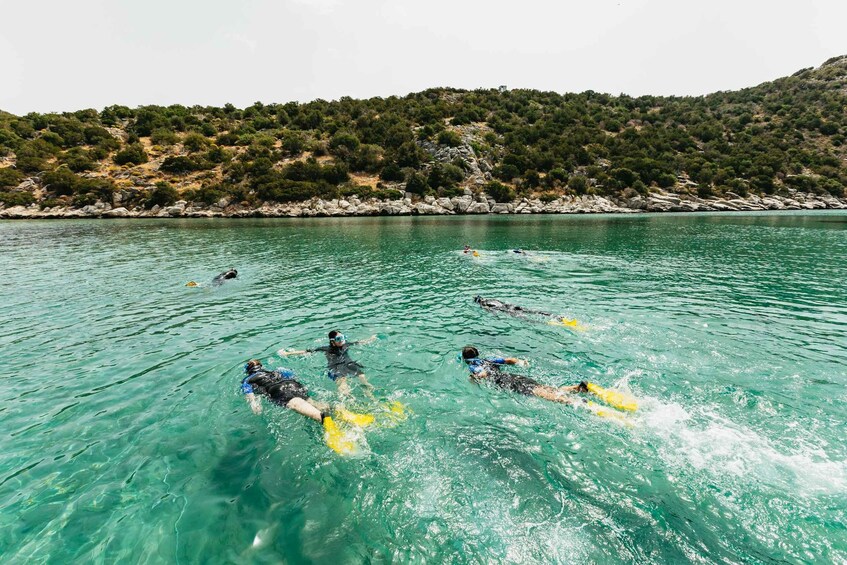 Picture 9 for Activity Nea Makri: Marathon Cape & Bay of Schinias Snorkeling Trip