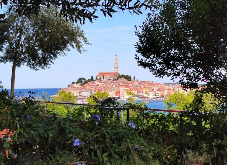 Picture 14 for Activity From Vrsar: Lim Fjord and Rovinj Boat Tour