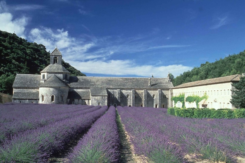 Picture 2 for Activity From Avignon: Half-Day Hilltop Villages of Luberon