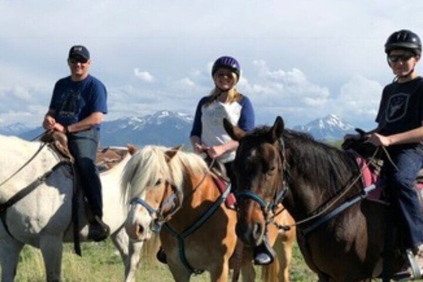 1-Hour Indoor Activity Horsemanship