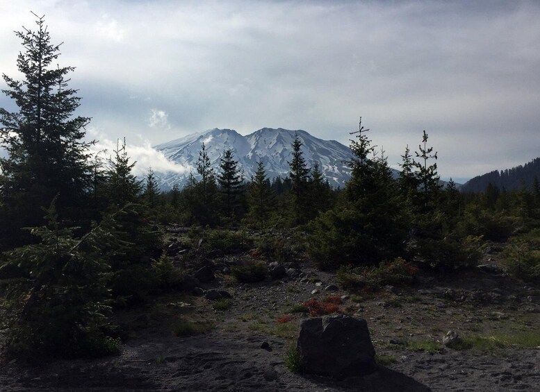 Portland: The Mt. St. Helens Adventure Tour