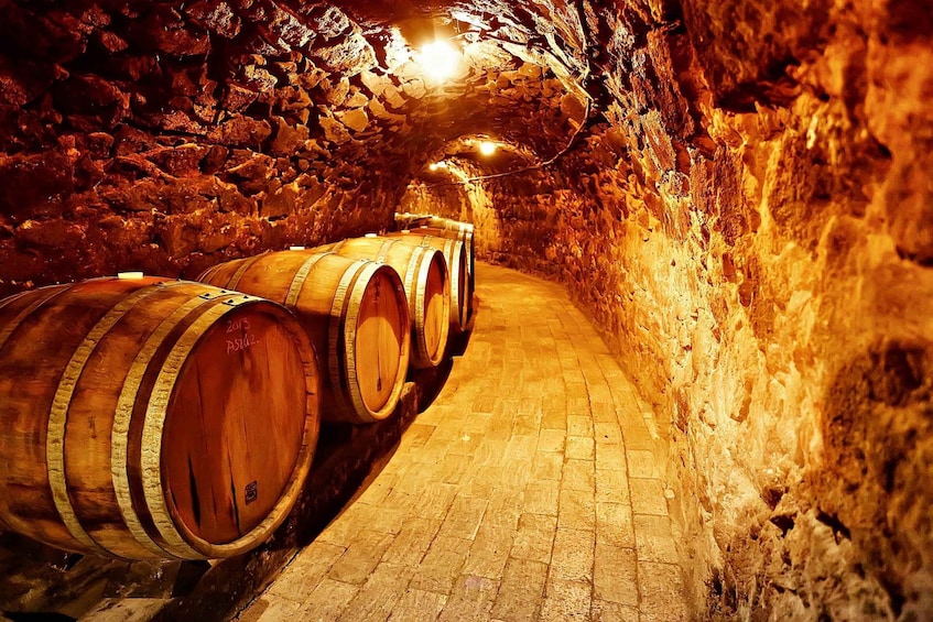 Tokaj: Vineyard Tour & Tasting