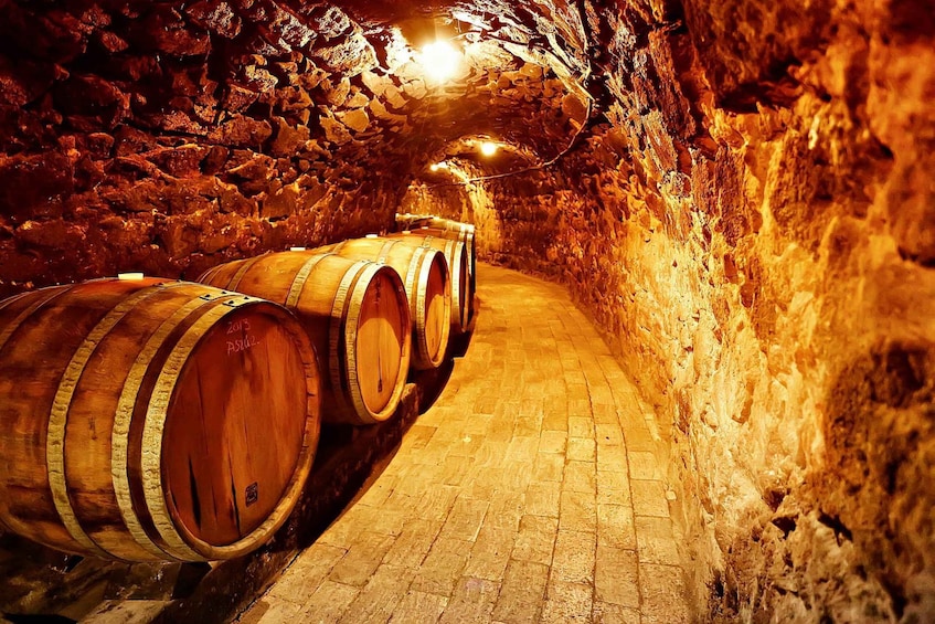Tokaj: Vineyard Tour & Tasting