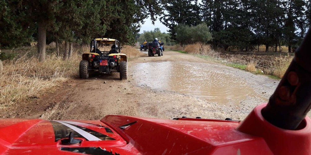 Picture 3 for Activity Paphos: Beach and Mountain Buggy Safari