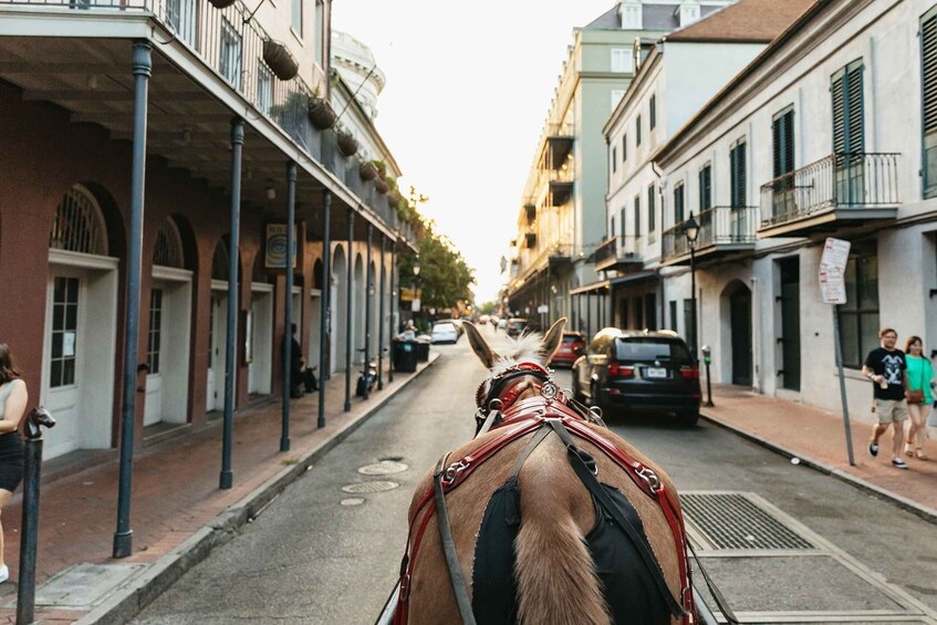 Picture 5 for Activity New Orleans: French Quarter Sightseeing Carriage Ride