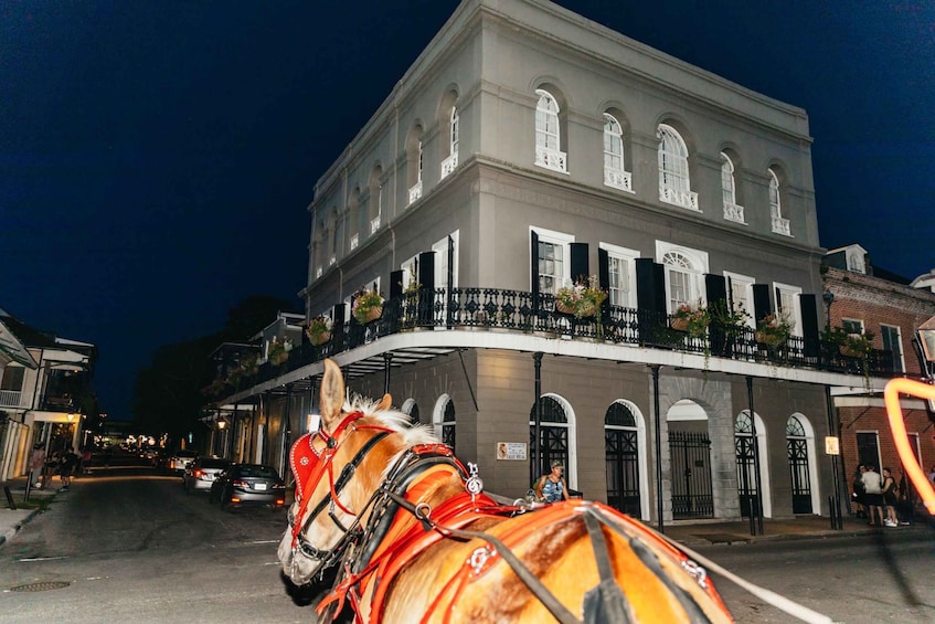 Picture 2 for Activity New Orleans: French Quarter Sightseeing Carriage Ride