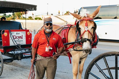 ニューオーリンズフレンチクォーター観光馬車乗車体験