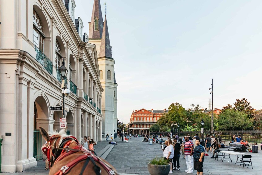 Picture 3 for Activity New Orleans: French Quarter Sightseeing Carriage Ride