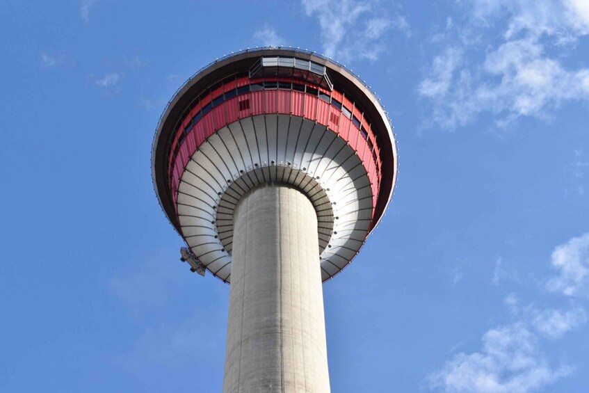 Picture 3 for Activity Calgary: 3-Hour Sightseeing Bus Tour