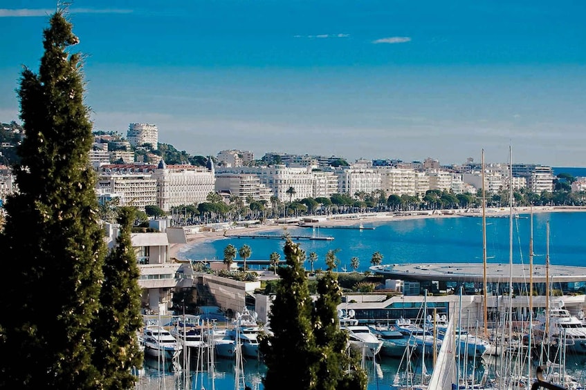 Picture 8 for Activity From Nice: Cannes, Saint Paul de Vence & Antibes Guided Tour