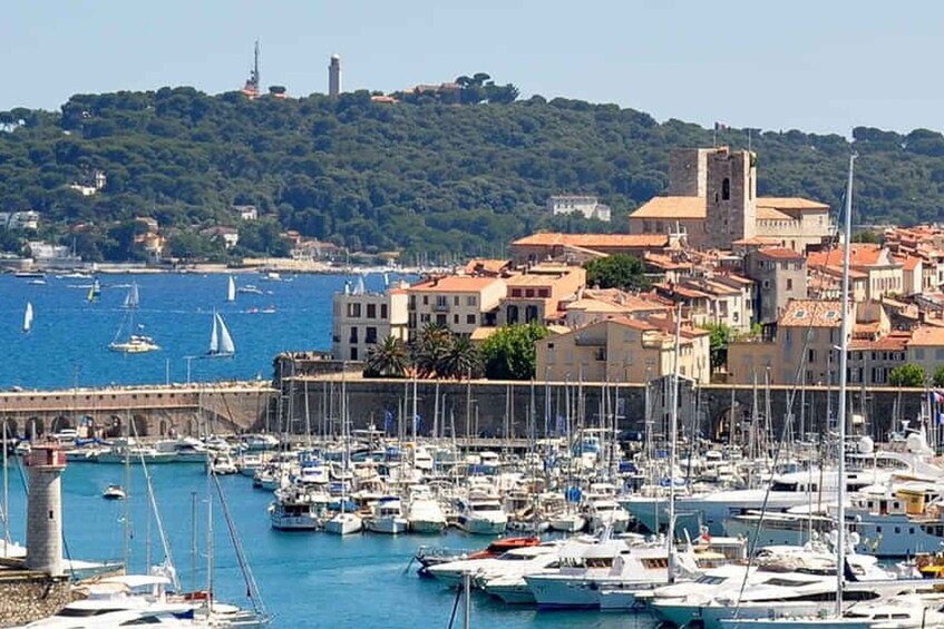 Picture 3 for Activity From Nice: Cannes, Saint Paul de Vence & Antibes Guided Tour