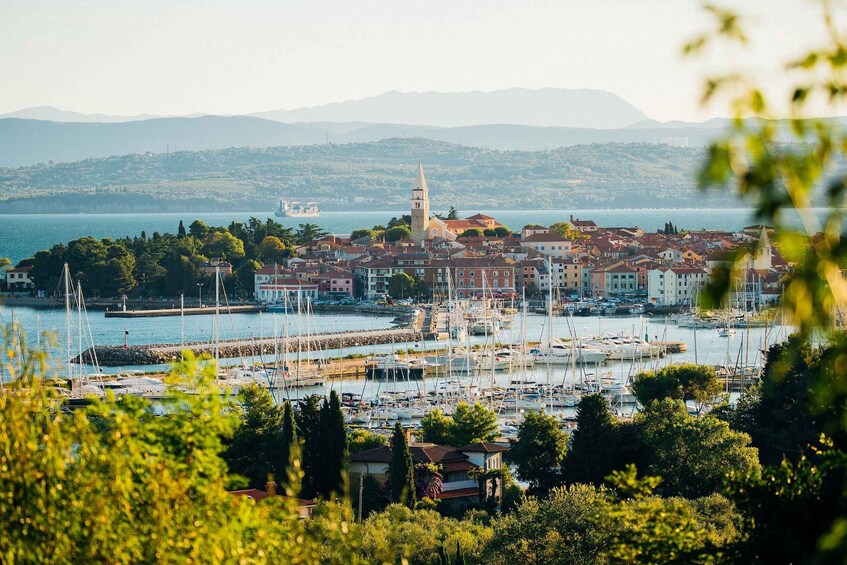 Picture 1 for Activity From Koper: Slovenian Riviera Bus Tour with Food Tastings