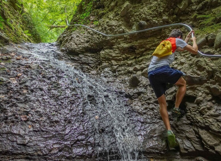 Picture 3 for Activity Danube Bend: Full-Day Hiking Tour from Budapest