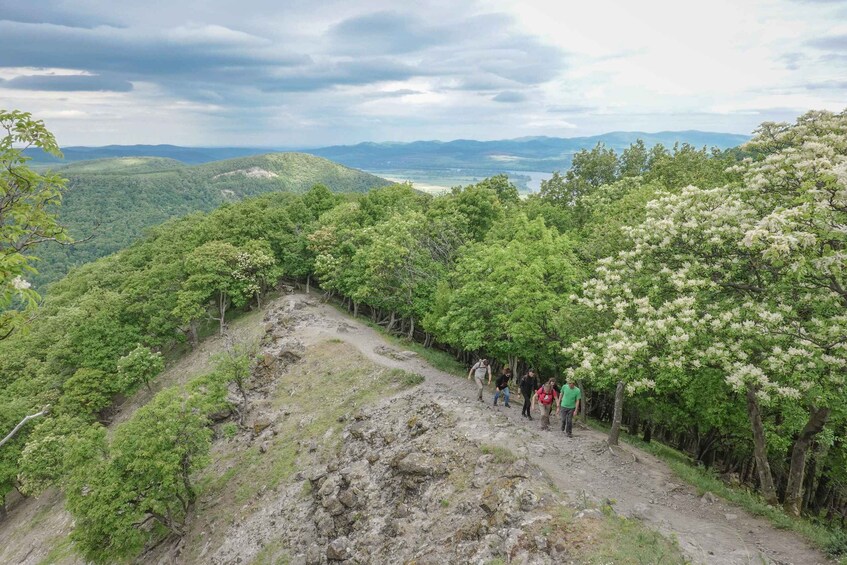 Picture 6 for Activity Danube Bend: Full-Day Hiking Tour from Budapest